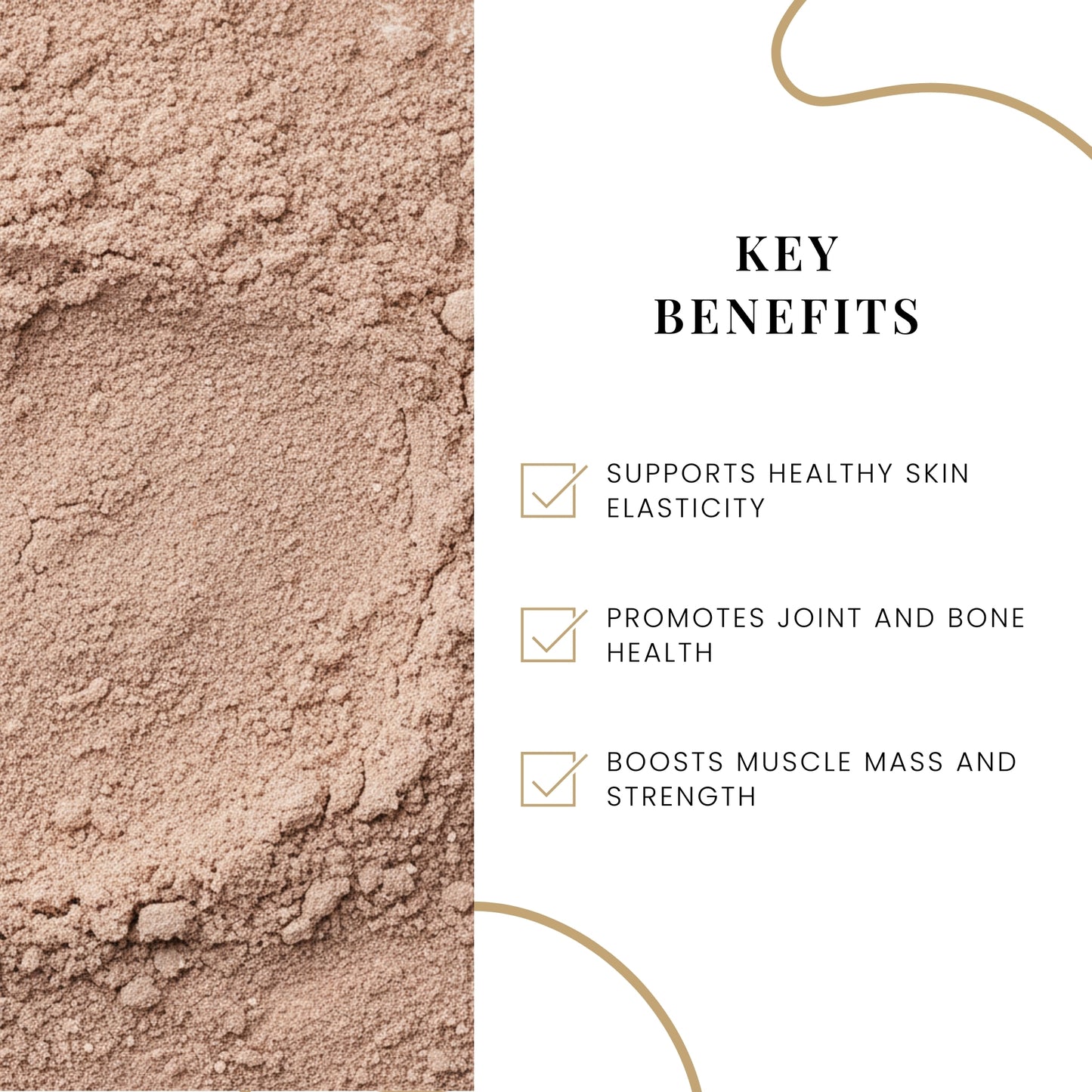 Cocoa Collagen Beauty Powder