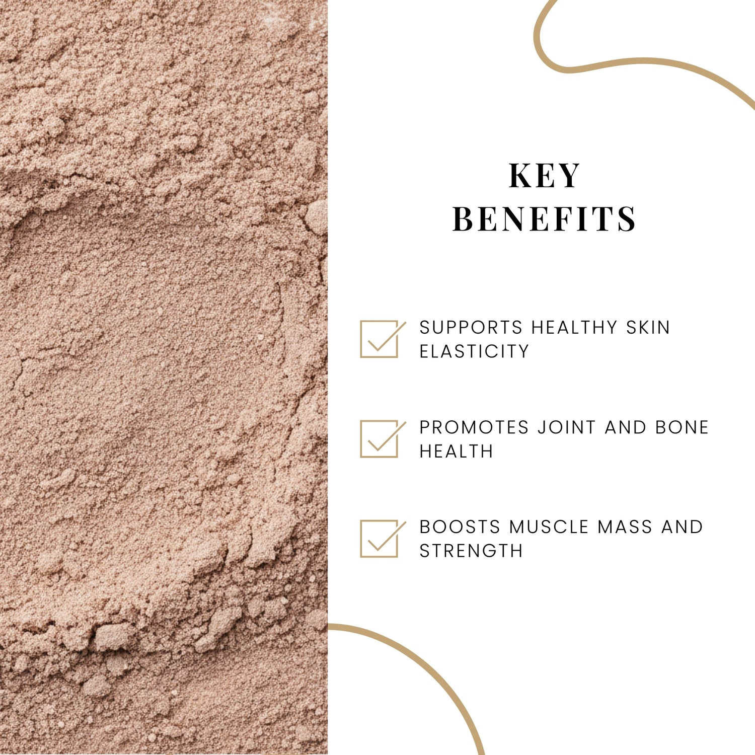 Cocoa Collagen Beauty Powder